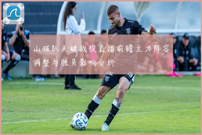 山猫队关键战役直播前瞻主力阵容调整与胜负影响分析