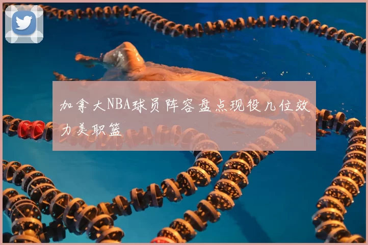 加拿大NBA球员阵容盘点现役几位效力美职篮